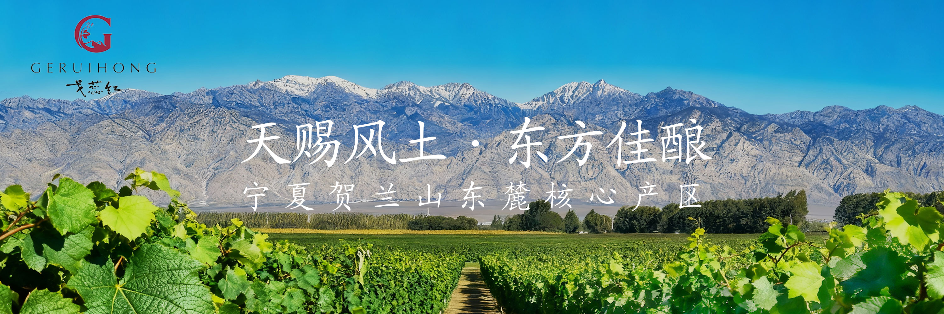 Furniture Collection 2023